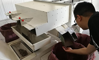 一顆新疆瓜子的河南故事！良品鋪?zhàn)庸?yīng)鏈溯源，“五星級(jí)”瓜子有啥不一樣